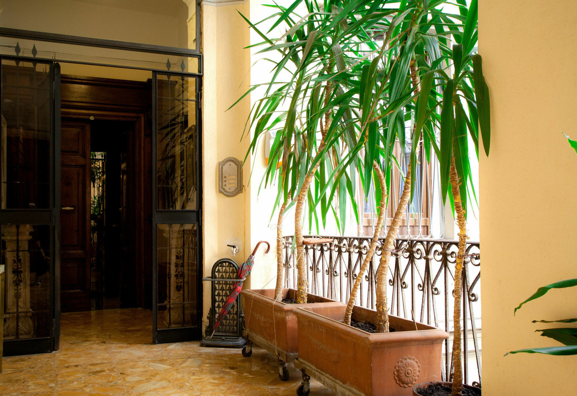 Guesthouse Borromeo Roma Zewnętrze zdjęcie